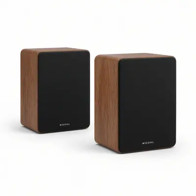 WOOHL Desk Stereo Speakers